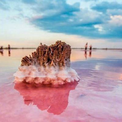 约定的梦幻岛游戏下载